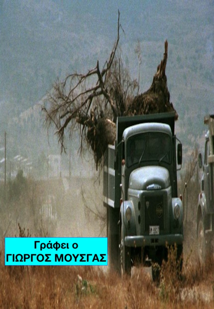 ΤΑ ΜΕΓΑΡΑ ΤΟΥ ΑΓΩΝΑ ΚΑΙ ΤΟΥ ΠΟΛΙΤΙΣΜΟΥ
