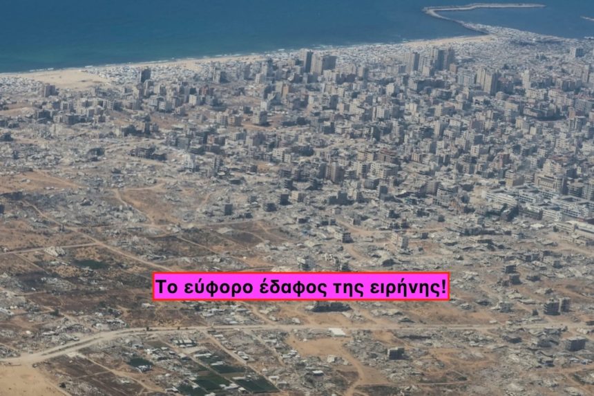 ΑΙΜΑΤΟΒΑΜΜΕΝΗ ΣΑΧΛΑΜΑΡΑ ΑΙΜΑΤΟΒΑΜΜΕΝΗ ΣΑΧΛΑΜΑΡΑ