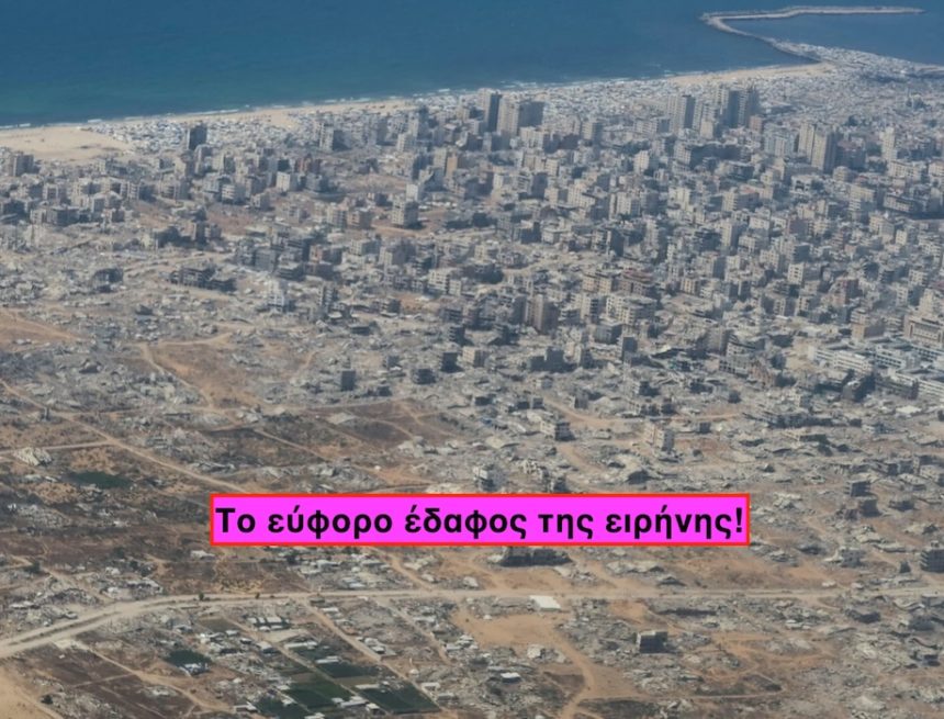 ΑΙΜΑΤΟΒΑΜΜΕΝΗ ΣΑΧΛΑΜΑΡΑ ΑΙΜΑΤΟΒΑΜΜΕΝΗ ΣΑΧΛΑΜΑΡΑ